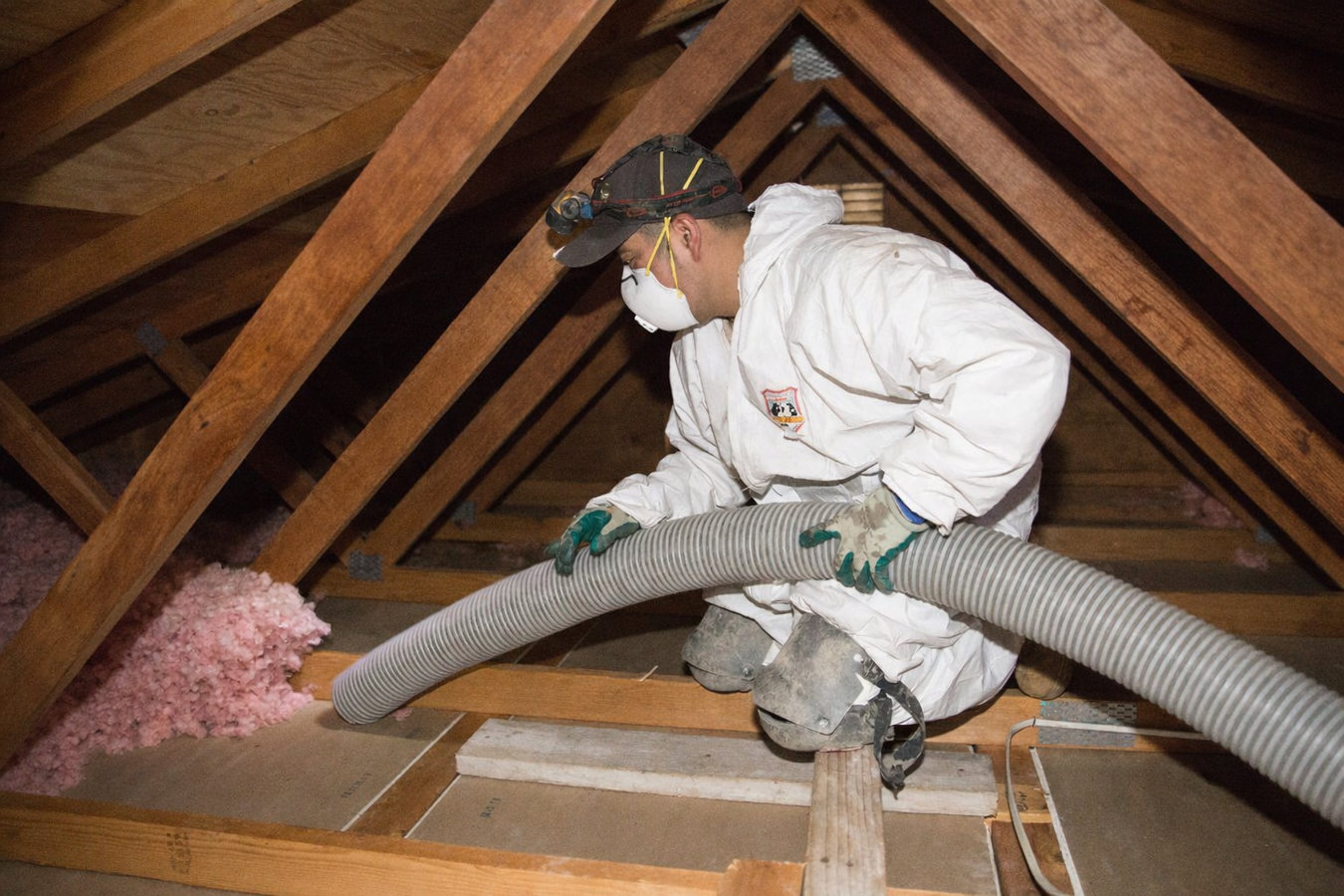 Insulation removal